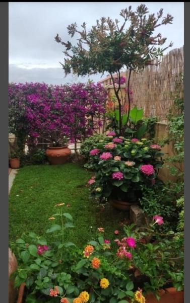 Casa Mariangela Villa Olbia Kültér fotó