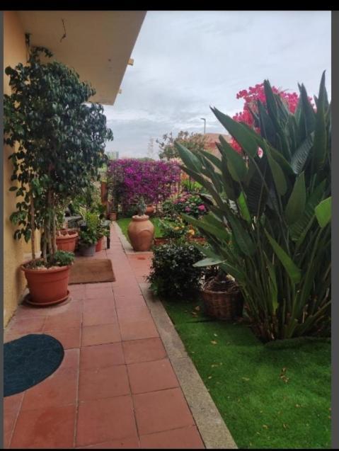 Casa Mariangela Villa Olbia Kültér fotó